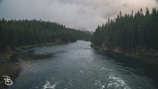 ynp-grand-canyon-2