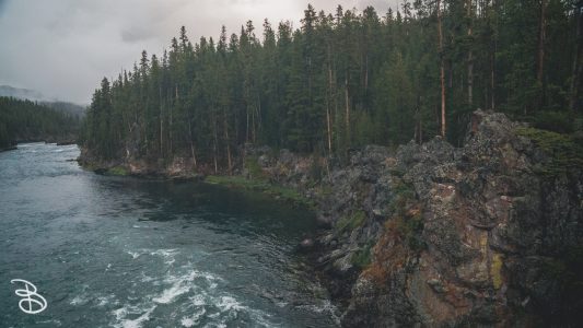 ynp-grand-canyon-3