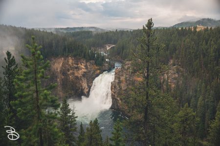 ynp-grand-canyon-6
