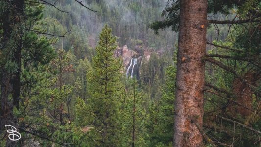 ynp-grand-canyon-7