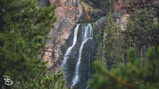 ynp-grand-canyon-8