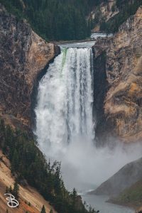 ynp-grand-canyon-9