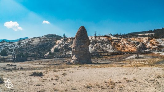 ynp-mammoth-1