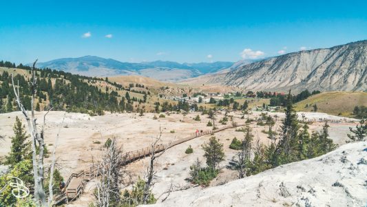ynp-mammoth-10