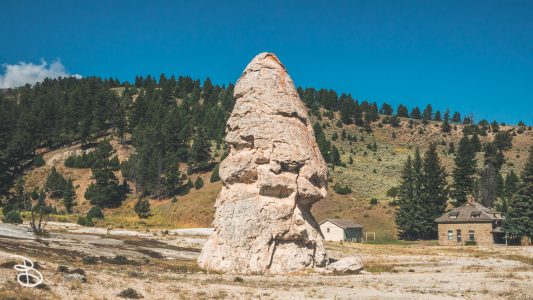 ynp-mammoth-3