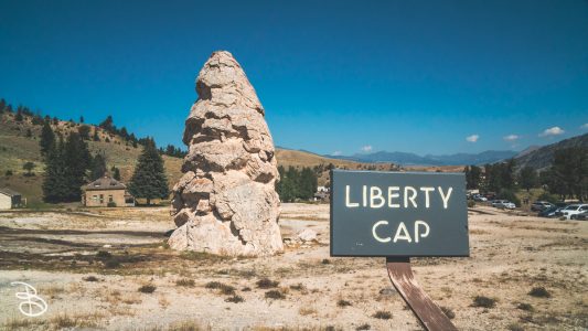 ynp-mammoth-4