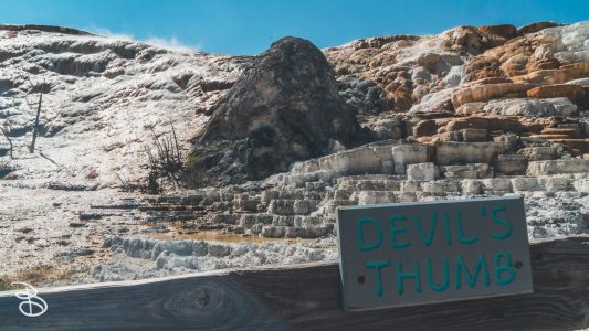 ynp-mammoth-7