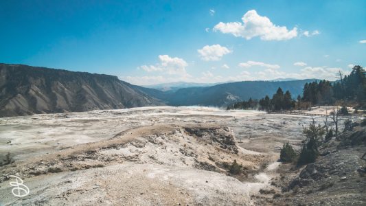 ynp-mammoth-9