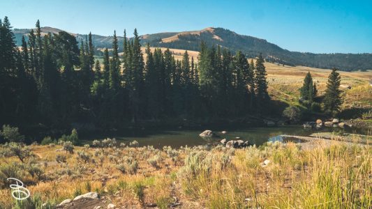 ynp-north-east-16
