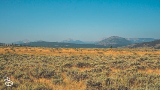 ynp-north-east-22