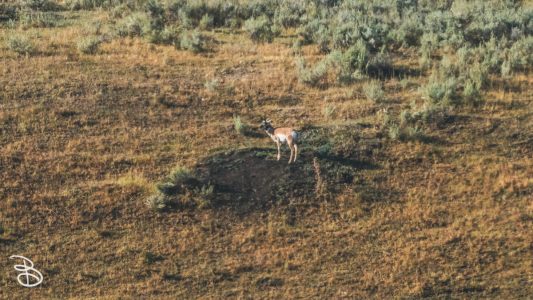 ynp-north-east-4