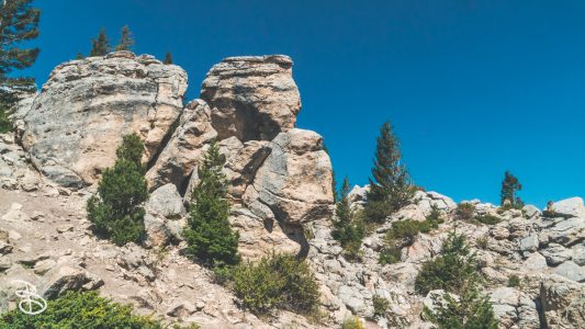 ynp-silver-gold-1