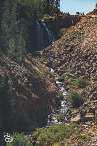 ynp-silver-gold-10