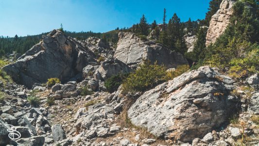 ynp-silver-gold-2