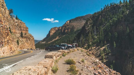 ynp-silver-gold-7