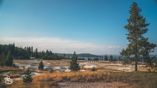 ynp-west-thumb-1