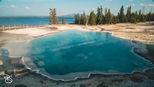 ynp-west-thumb-16