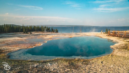 ynp-west-thumb-17