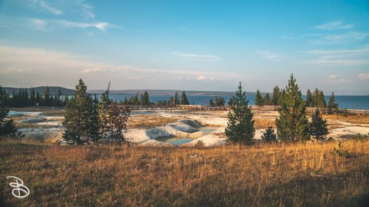 ynp-west-thumb-21
