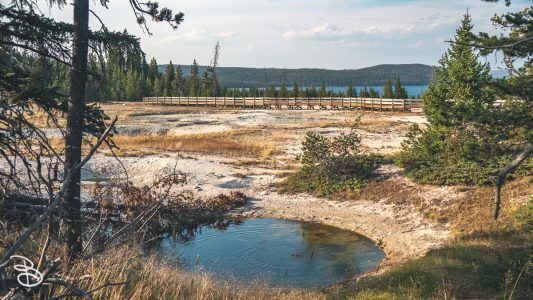 ynp-west-thumb-3