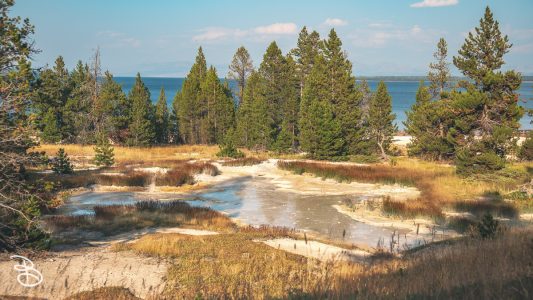 ynp-west-thumb-4